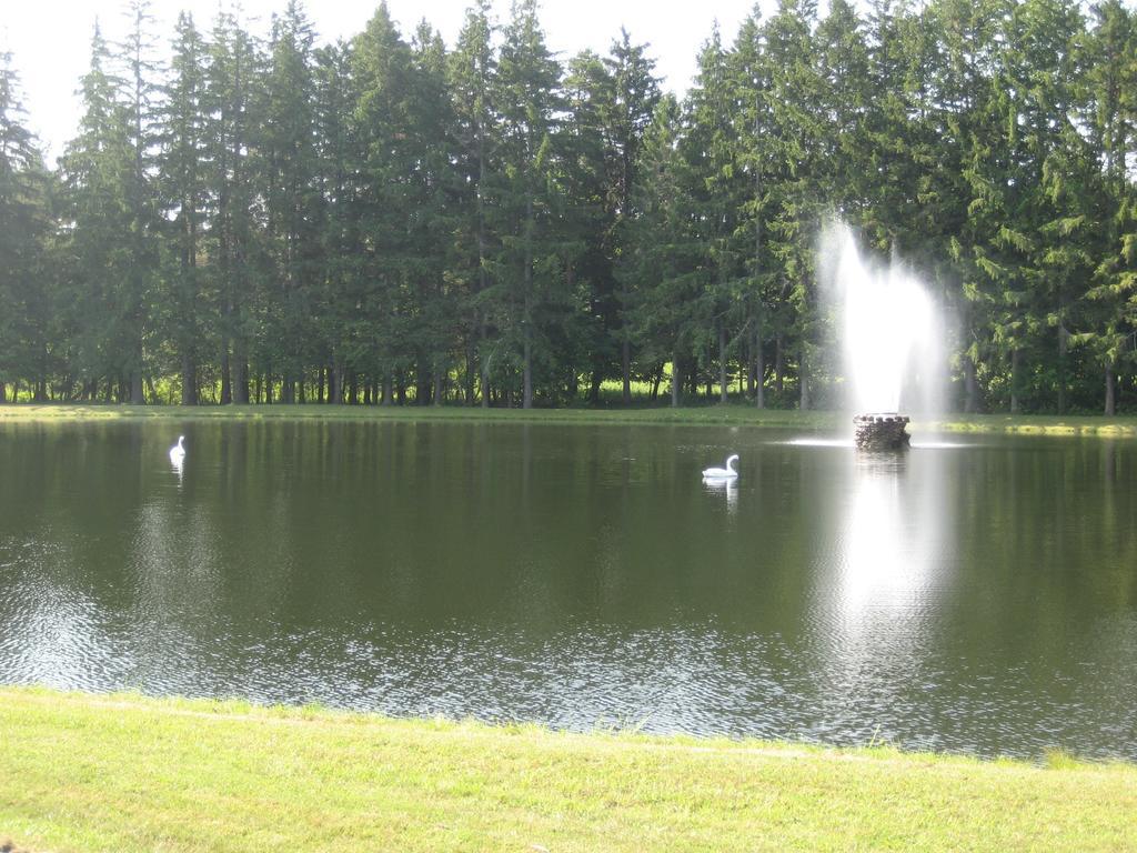 Fountain View Motel Richfield Springs Ngoại thất bức ảnh